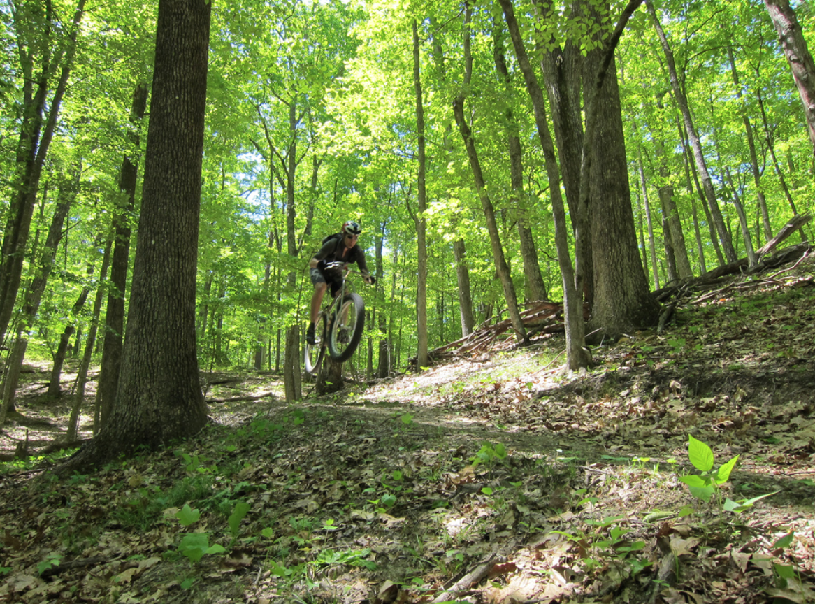 Mountain biker mid-air on a forest trail, surrounded by vibrant green trees where sunlight filters through.