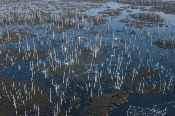 Ghost Forest Mapping